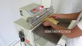External Vacuum Sealer Packing Machine with Gas Flushing Function