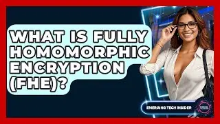 What Is Fully Homomorphic Encryption (FHE)? - Emerging Tech Insider