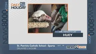Daily Holiday - National love your pet day