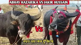 Abhay hazarika vs Jakir Hussain || জাকিৰ হুছেইন বনাম অভয় হাজৰীকা || Bhurbandha #mohjuj 