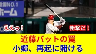 衝撃速報！小郷裕哉、近藤バットで劇的展開！復活の鍵、判明？