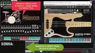 BAIXO PROFISSIONAL PARA KONTAKT (