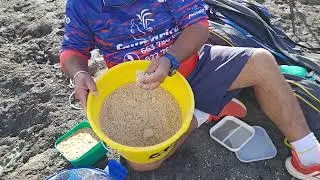 pescando solo con ASTICOTS  a corcheo mar