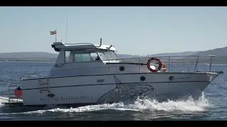 Half time video of our campaign 'Save The Iberian Orca'
