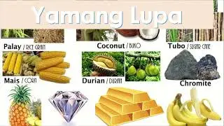 YAMANG LUPA FOR KIDS