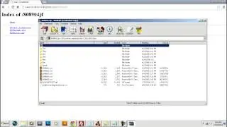 Downloading and Loading Reason NNXT Patches