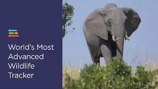 ElephantEdge: A New Neural Wildlife Tracker, Powered by Edge Impulse