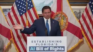 Florida considers wide-ranging AI protections