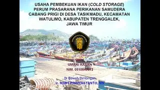 USAHA PEMBEKUAN IKAN (COLD STORAGE) PERUM PRASARANA PERIKANAN SAMUDERA CABANG PRIGI TRENGGALEK