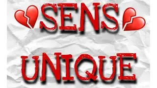 💔SENS UNIQUE 💔 🎵VEVO/  vid&eacute;o officiel /LLEO FEAT.LIL MONKEY avec PARE BASS LABEL