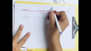 المشتقات (اسم المفعول) (5) ، المراجعة المركزة ، الثالث متوسط 