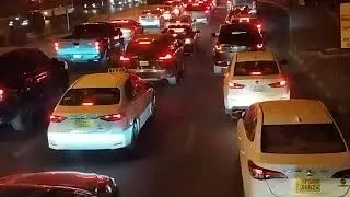 KUWAIT TOUR PART 2...#cat #kuwaitview #cuteanimal #automobile #animals #cutecat #cutepet#shortvideos