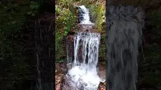 Факты про Великобританию #uk #nature #природа
