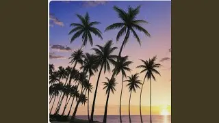 Romantic Sunset
