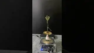 Tesla coil + Plants Part 9
