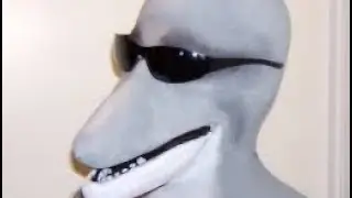 The Tale Of Dolphin Man 2!
