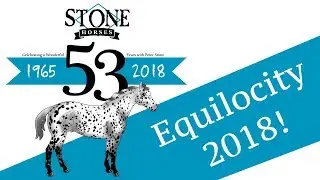 Equilocity 2018 - 53 Years of Peter Stone & Model Horses