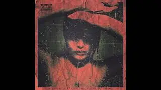 Sky Ferreira - You're Not The One (slowed + reverb)