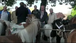 Ponymarkt Bemmel 2014