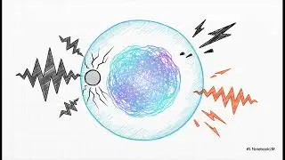 Unlocking the Universe: An Introduction to Quantum Computing
