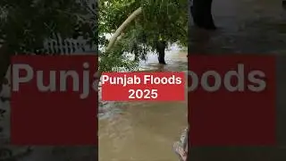 Punjab Floods and a small step by us #punjabfloods #flood #punjab #india
