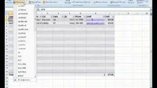 Microsoft Office Excel Formula and the Function Library