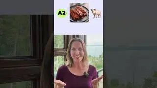 Meat 🍗 Vocabulary | What&rsquo;s Your English Level?