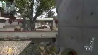Black Ops 2  Quad Feed on Raid DSR
