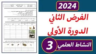 الفرض الثاني من الدورة الأولى مادة النشاط العلمي المستوى الثالث ابتدائي.