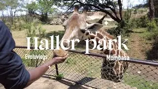 Taking a tour around Haller park Mombasa