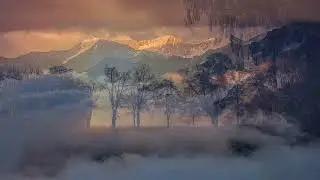 AMBIENT TEXTURES ---- A CALM MIND