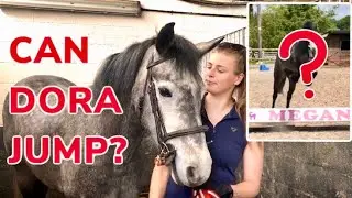 CAN MY FOUR YEAR OLD PONY JUMP? ~ We jump Dora for the first time