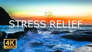 Relaxing Music with Ocean Waves: Beautiful Piano, Sleep Music, Stress Relief, Wave Sounds