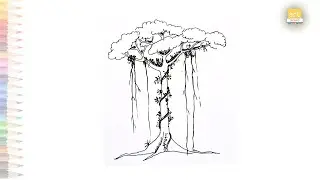 Rainforest tree drawing easy | Dibujar un arbol facil | How to draw rainforest tree | drawing vigeos