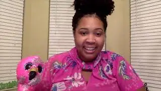 Early Literacy: Fun with Phonics! – First Grade Lesson 11