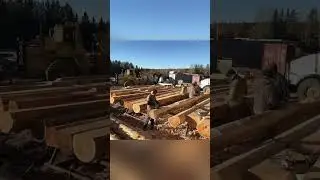 25 января 2023 г.