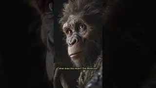 700,000-YEAR-OLD HUMAN ANCESTOR FOUND IN MOROCCO! MAJOR MISSING LINK D