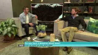 Into the Wild – African Honey Bees