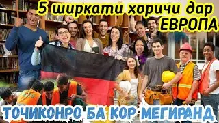 5 Ширкати Европа Тоҷиконро ба кор Таъмин мекунад / Тоҷикон аз Руссия ба Европа рафтанд