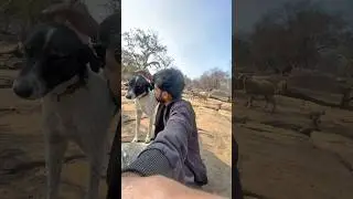 मेरे Bahadur की हड्डी 🦴 😢🐾 vlog49 #minivlog #bahadur #dogdeath #shortsfeed