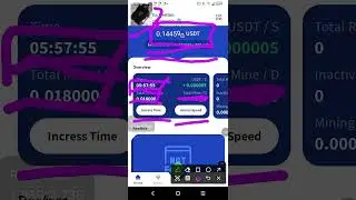 USDT TREADING SIMULATION DETECTION OF FRODERY