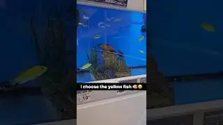I&rsquo;m Buggin I Didn&rsquo;t Know These Fish Was Thuggn 💔