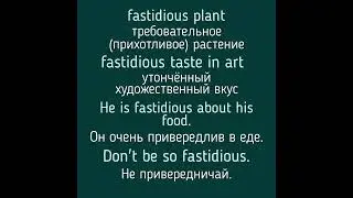 Advanced English words/