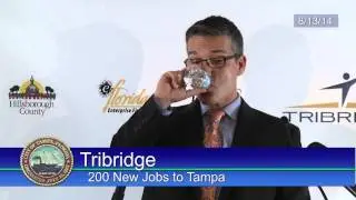 Tribridge