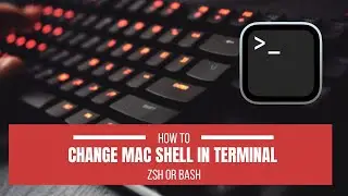 Change default shell in terminal | Zsh or bash