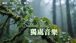 森林深處的雨與琴，靜聽自然低語。Rain and Piano in the Deep Forest — Whispers of Nature #music #rain