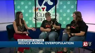 Mid-Michigan Matters: How getting your pet fixed can help keep shelters empty