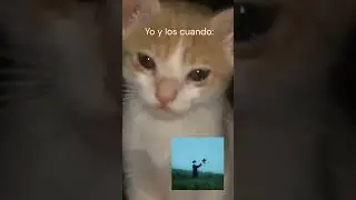 Yo y los cuando: #shorts #triste