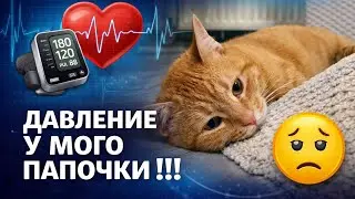 💦26&bull;01&bull;2026💦 ДАВЛЕНИЄ У МОГО ПАПОЧКИ !!! 