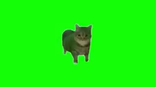 Green Screen Spinning Cat Meme | OIIAIOIIIAI Meme